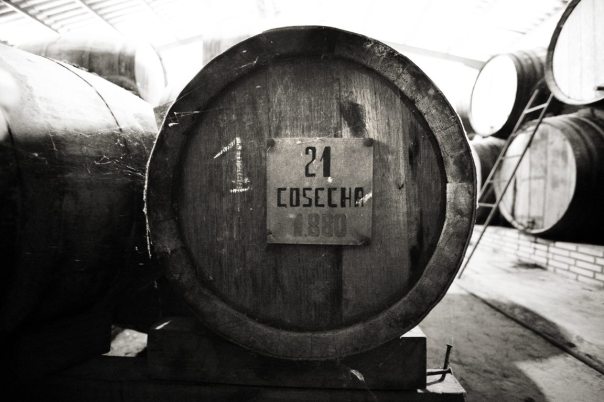 Foto Vicente Corona (VCrown)