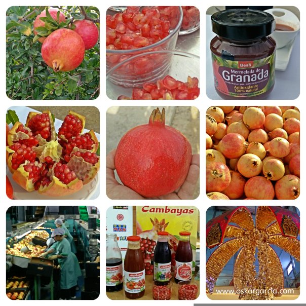 collageblogtripgranadamollarelx1oskar9x