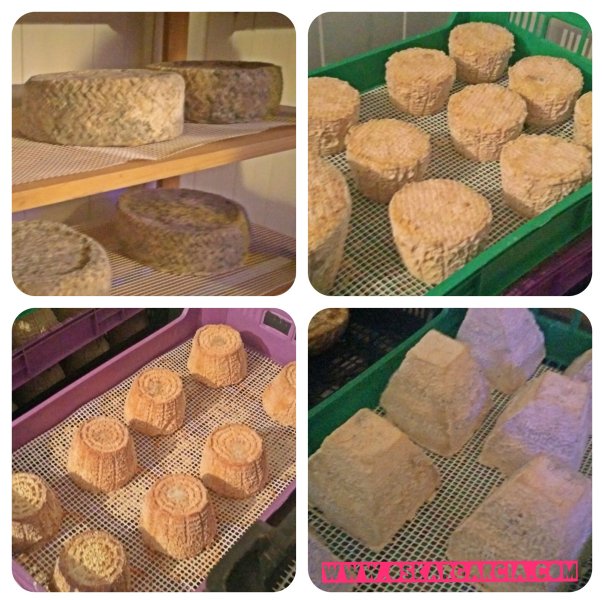 Queso Artesano La Loma 4.jpg