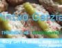 Pintxo Garzía | Thermo &&nbsp;Me